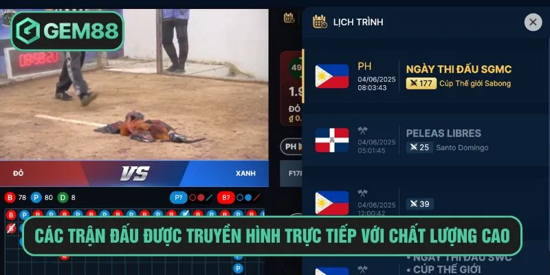 Các trận đấu truyền hình trực tiếp Full HD với chất lượng cao