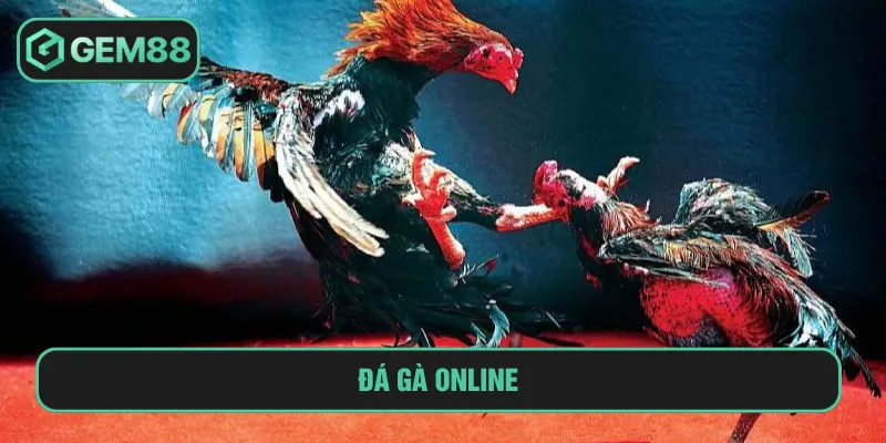 đá gà online