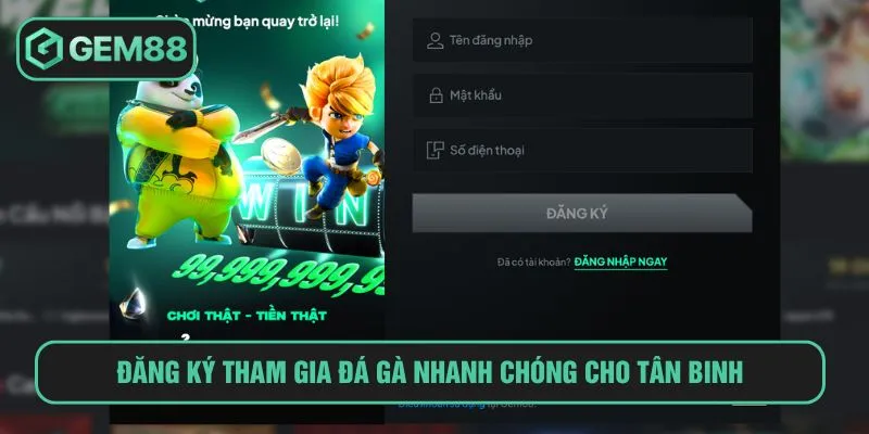 Đăng ký tham gia đá gà nhanh chóng cho tân binh