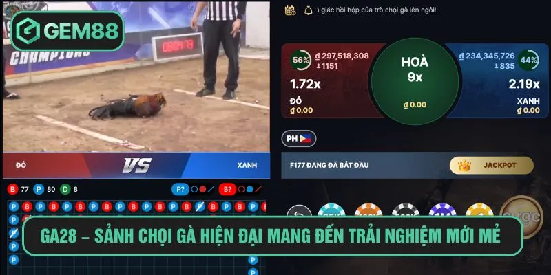 GA28 – Sảnh chọi gà hiện đại mang đến trải nghiệm mới mẻ 
