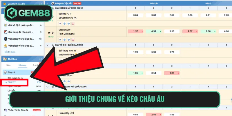 Giới thiệu chung về kèo Châu Âu
