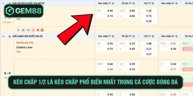 Kèo chấp 1/2 là kèo chấp phổ biến nhất trong cá cược bóng đá