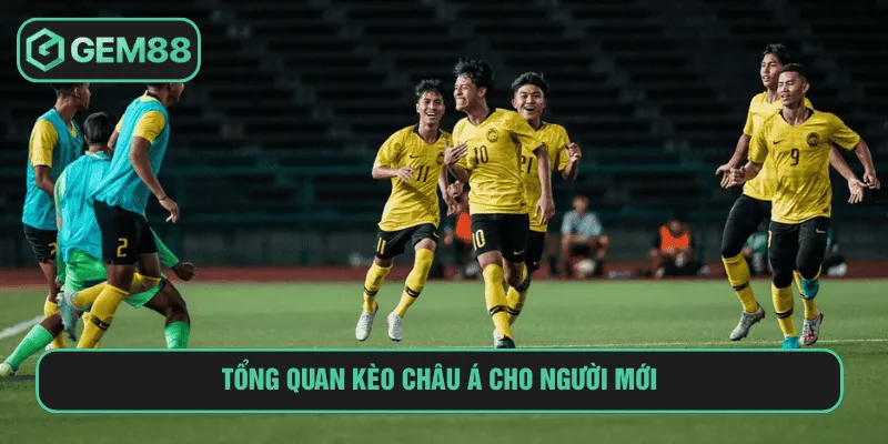 Tổng quan kèo châu Á cho người mới