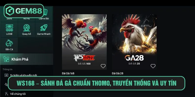 WS168 – Sảnh đá gà chuẩn Thomo, truyền thống và uy tín