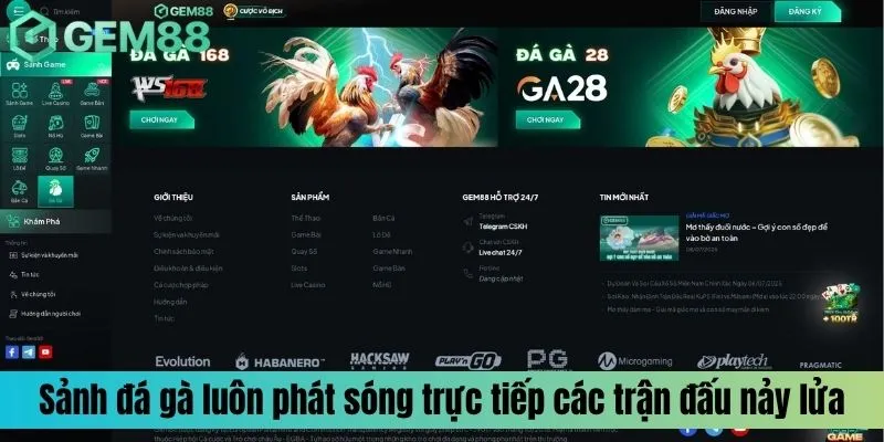 Sảnh đá gà luôn phát sóng trực tiếp các trận đấu nảy lửa